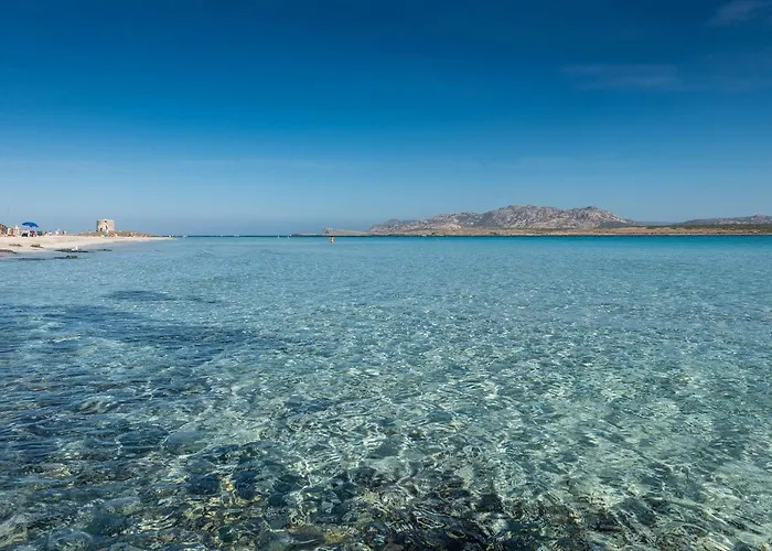 Apartment Affittasardegna-appartamento E Bilo Janna *